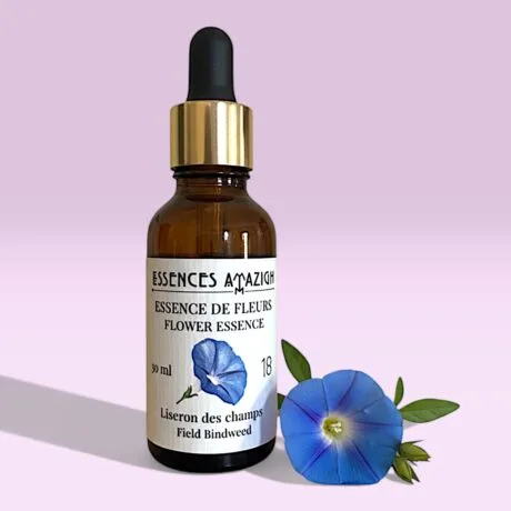Flower Essence Of Field Bindweed