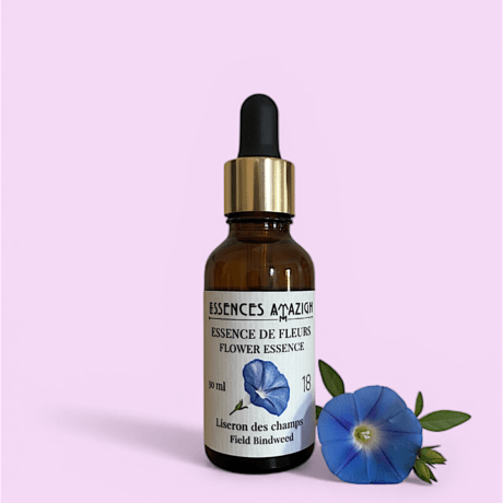 Flower essence of Field Bindweed