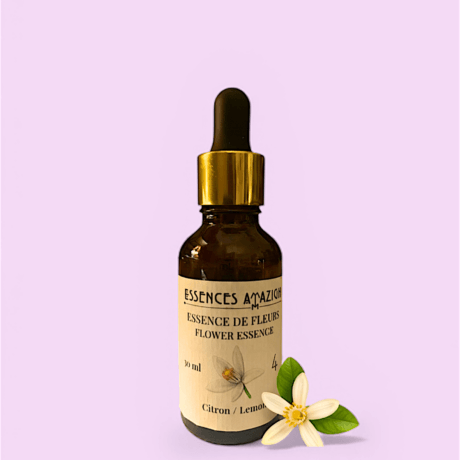 Flower essence of Lemon