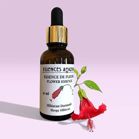 Flower Essence Of Sleepy Hibiscus