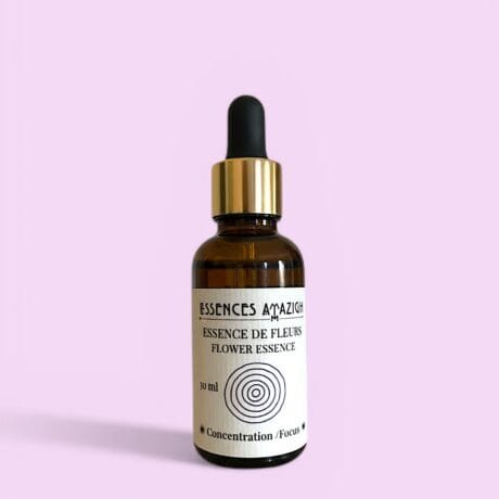 Focus - Flower essence blend