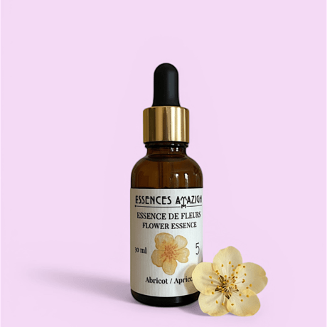 Flower essence Apricot