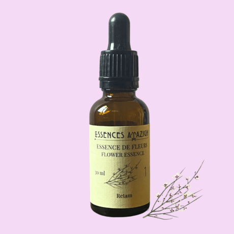 Flower essence of Retam